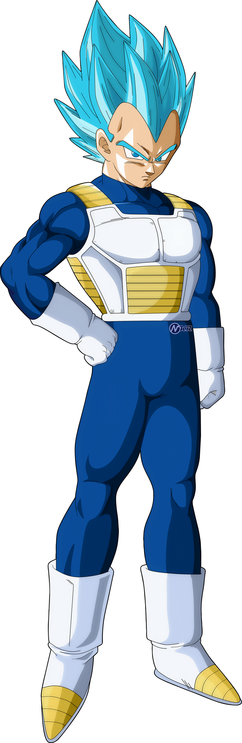 vegeta ssgss